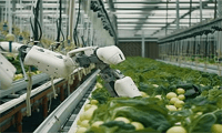 Robotic Joints help build fruit and vegetable harvesting robot