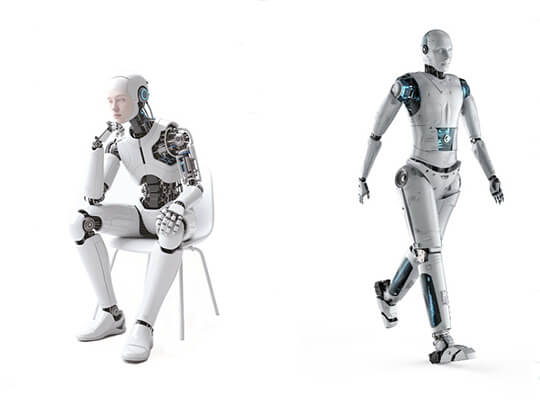 Humanoid Robot